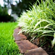 landscaping service nearby