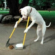 pooper scooper service farmington mn