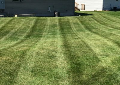 Visible stripes in the grass of a recently mowed lawn.