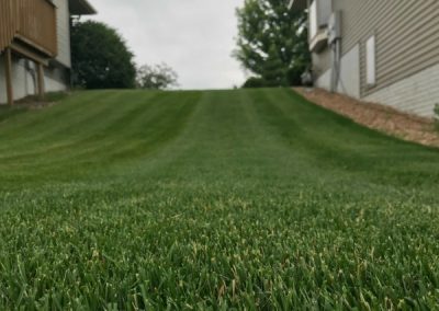 The grassy area in between two homes. The lawn is well maintained with visible stripes from recent mowing service.