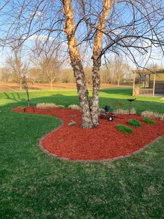 Freshly Mulched Landscape Bed