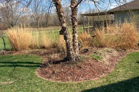 Landscape Cleanup Service