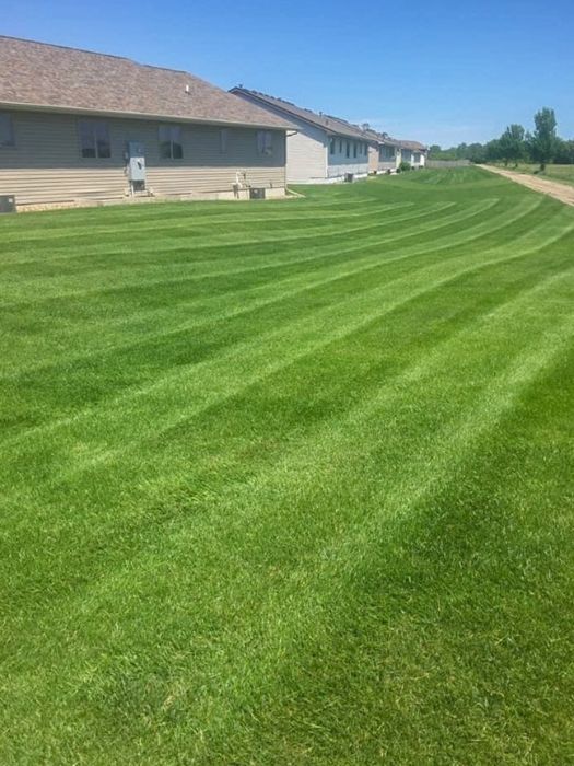 Lawn Care Program Near Me