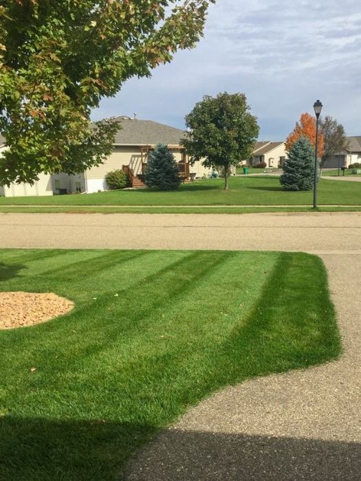 Lawn Fertilizer Service