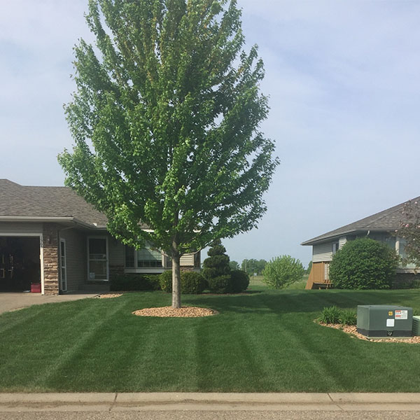 Lawn Mowing Service